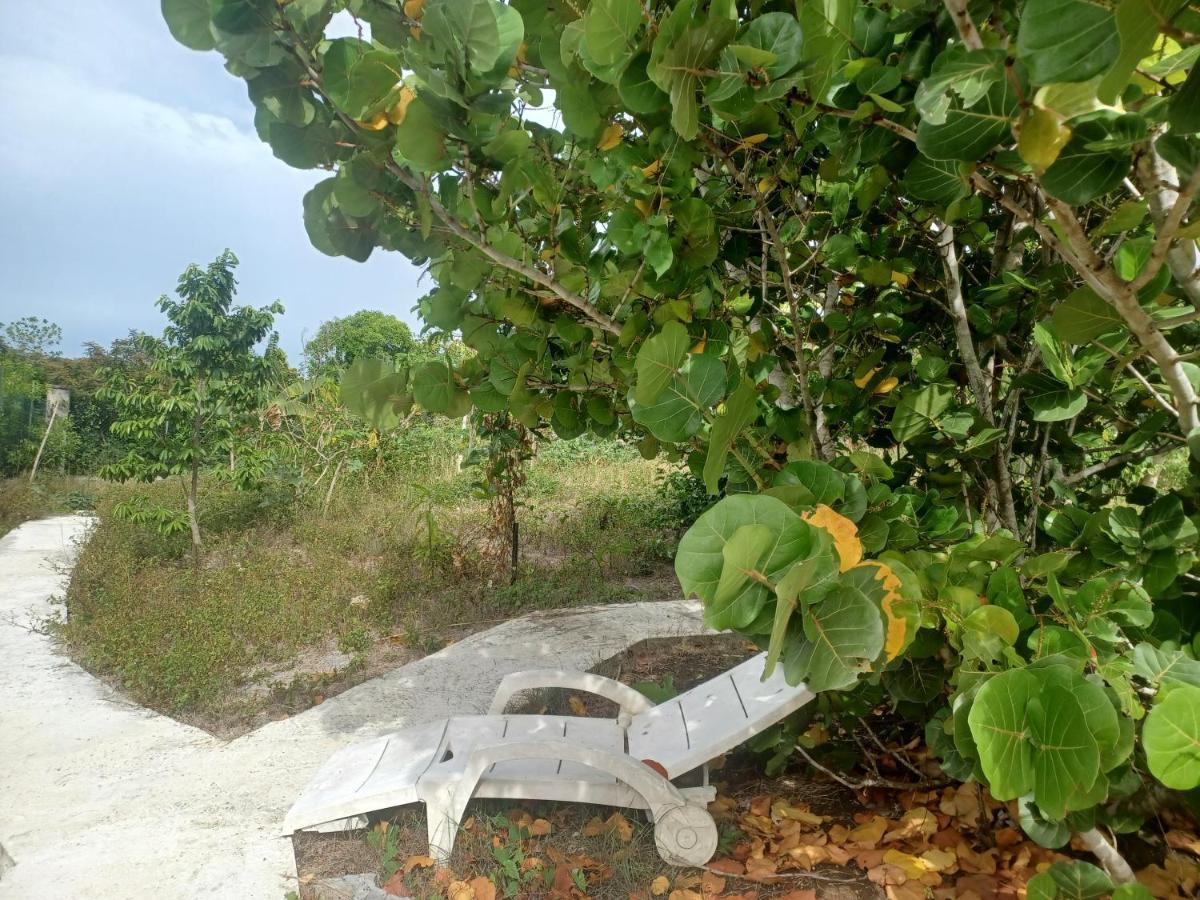 Vila "Le Champs" Des Oiseaux Anse-Bertrand Exteriér fotografie