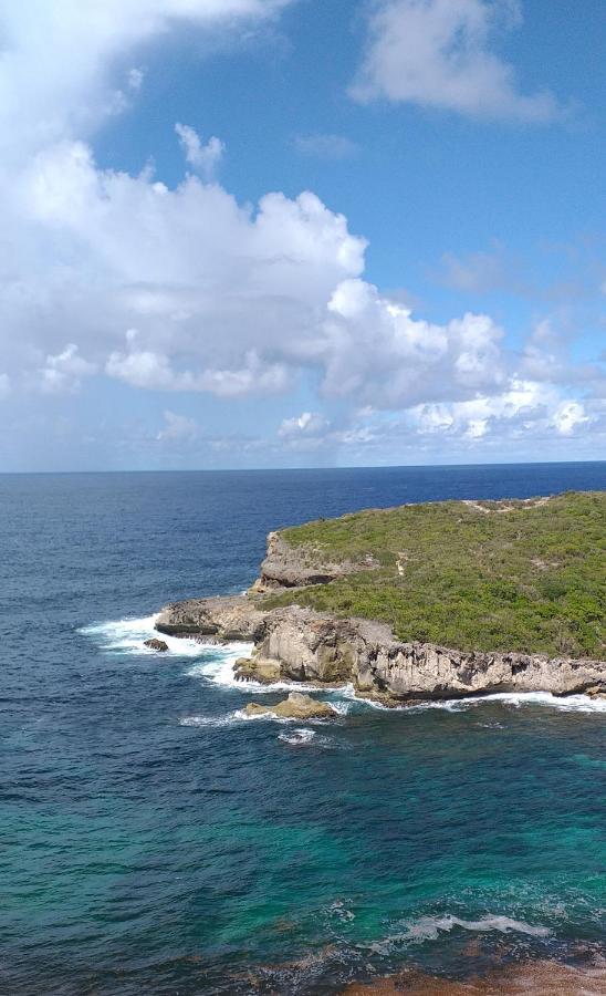 Vila "Le Champs" Des Oiseaux Anse-Bertrand Exteriér fotografie